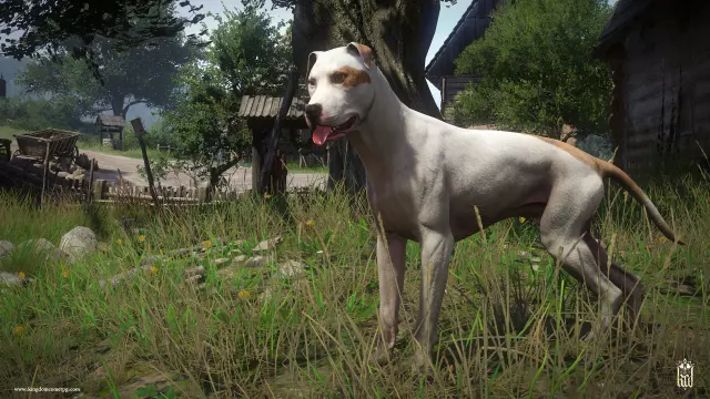 Kingdom Come: Deliverance – A Woman's Lot — скриншот 5 из игры