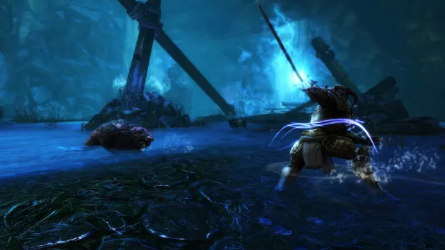 Kingdoms of Amalur: Re-Reckoning — скриншот 5 из игры