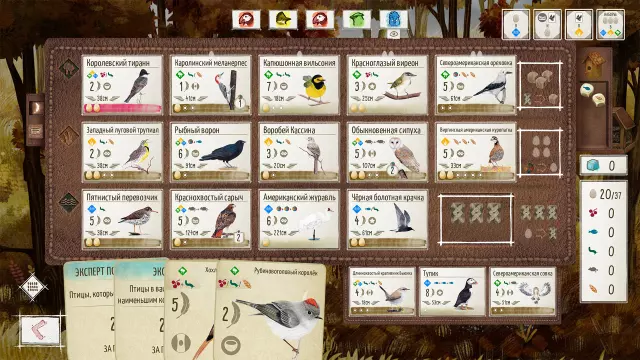 WINGSPAN (КРЫЛЬЯ) — скриншот 4 из игры