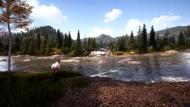 Hunting Simulator 2 — скриншот 4 из игры