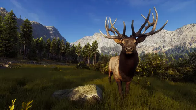Way of the Hunter — скриншот 1 из игры