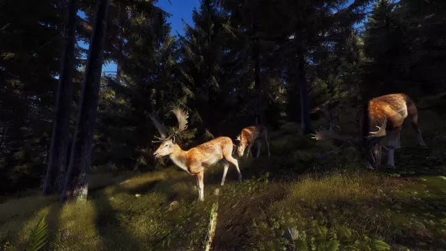 Way of the Hunter — скриншот 2 из игры
