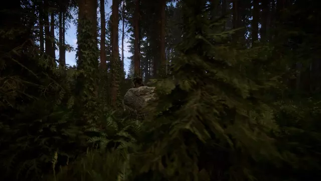 Sons Of The Forest — скриншот 4 из игры