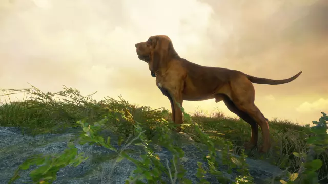 theHunter: Call of the Wild - Bloodhound — скриншот 1 из игры