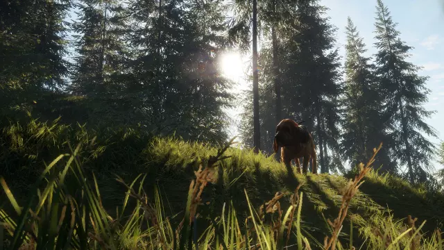 theHunter: Call of the Wild - Bloodhound — скриншот 2 из игры