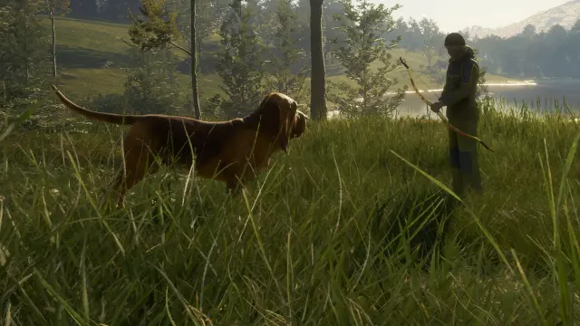 theHunter: Call of the Wild - Bloodhound — скриншот 3 из игры