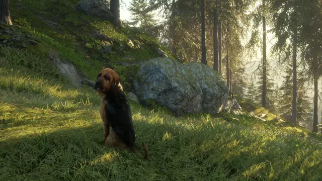 theHunter: Call of the Wild - Bloodhound — скриншот 5 из игры