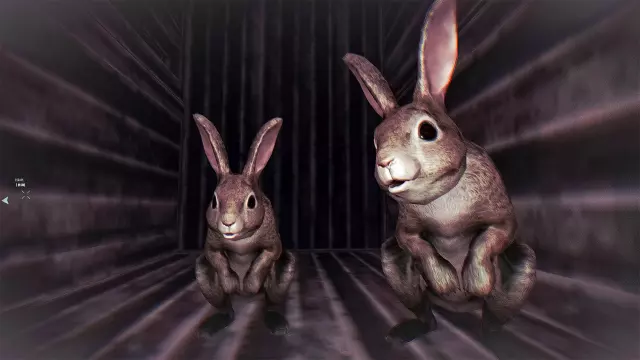 Rabbit Riot — скриншот 3 из игры