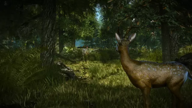 Скриншот 2 из The Witcher 2: Assassins of Kings Enhanced Edition — сравните цены на игру в Steam
