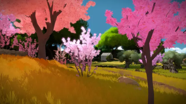 The Witness — скриншот 4 из игры