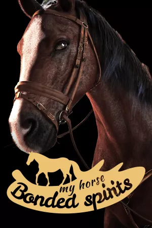 My Horse: Bonded Spirits — купить ключ Steam дешевле, обложка игры