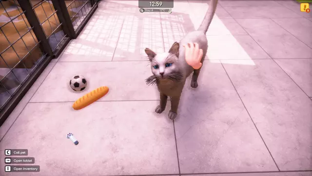 Animal Shelter 2 — скриншот 2 из игры