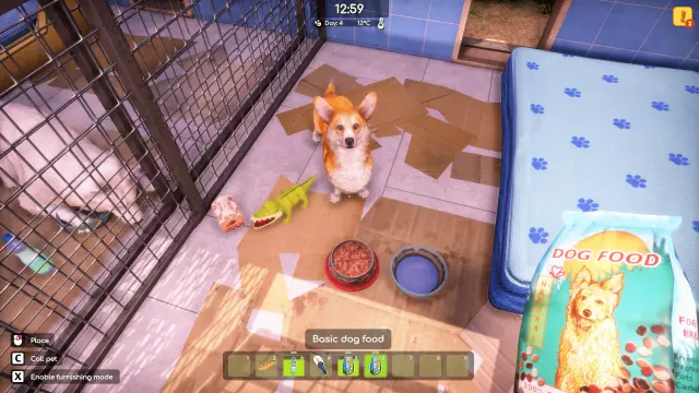 Animal Shelter 2 — скриншот 3 из игры