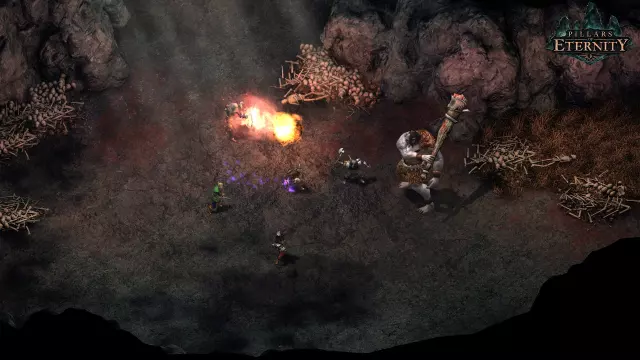 Pillars of Eternity — скриншот 6 из игры