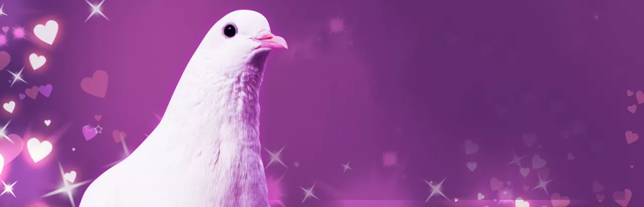 Hatoful Boyfriend — сравните цены на ключи и гифты Steam