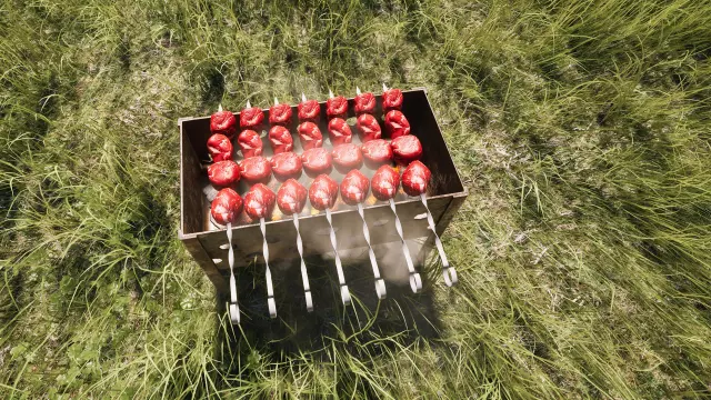 ДАЧА — скриншот 2 из игры
