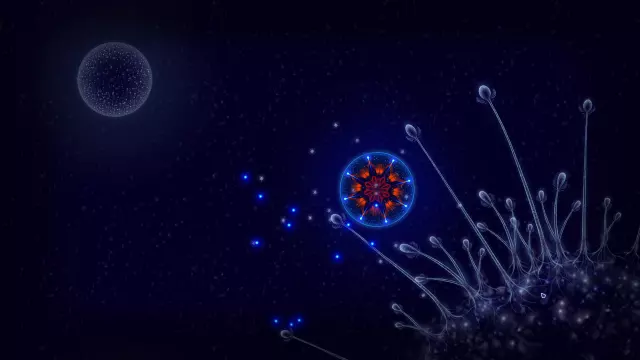 Microcosmum: survival of cells — скриншот 1 из игры