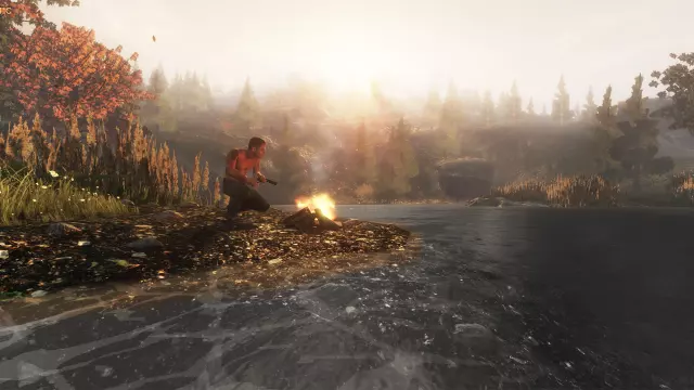 Subsistence — скриншот 1 из игры