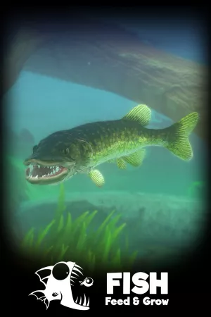 Feed and Grow: Fish — купить ключ Steam дешевле, обложка игры