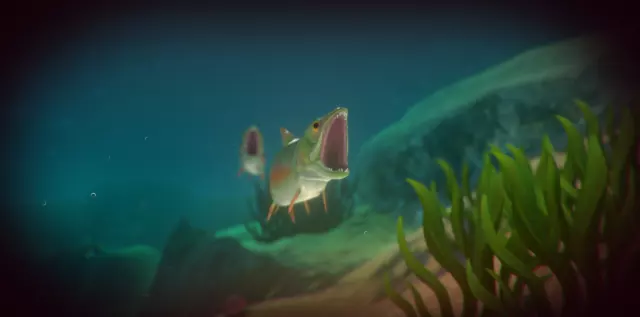 Feed and Grow: Fish — скриншот 6 из игры