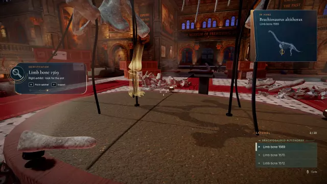 DinoBones: Tidy Up the Museum — скриншот 4 из игры