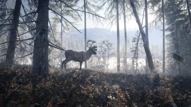 theHunter: Call of the Wild - Medved-Taiga — скриншот 1 из игры