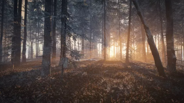 theHunter: Call of the Wild - Medved-Taiga — скриншот 3 из игры
