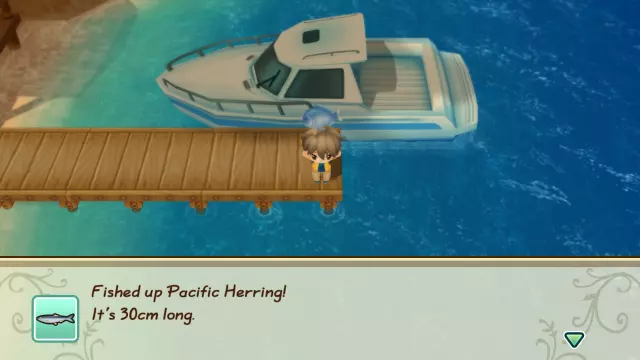 STORY OF SEASONS: Friends of Mineral Town — скриншот 5 из игры